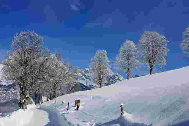 Märchenhafte Winterlandschaft