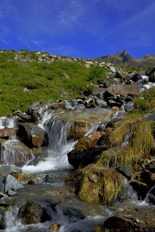 Munter sprudelt der kleine Gebirgsbach 
