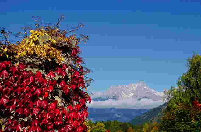 Wunderschön herbstlich unrahmter Durchblick zum Steinernen Meer