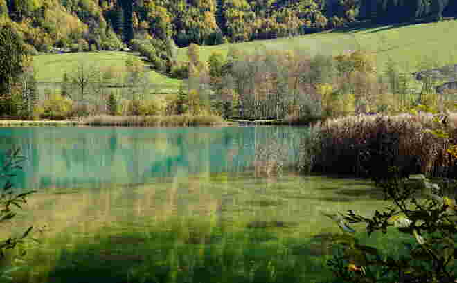 Herbstliche Farbpalette in sanften Tönen