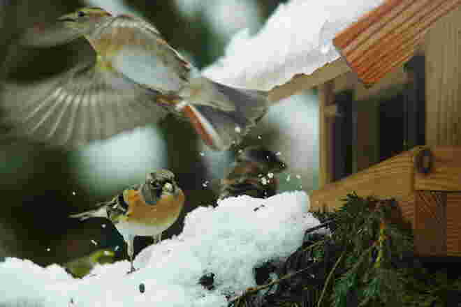 In der Abflugschneise