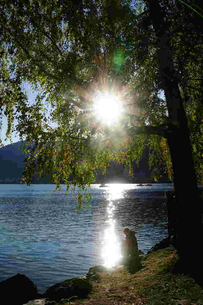 Genussvolle Momente kurz vor Sonnenuntergang am Zeller See