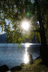 Genussvolle Momente kurz vor Sonnenuntergang am Zeller See