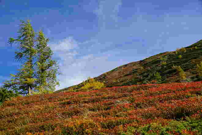 Herbstfarben 