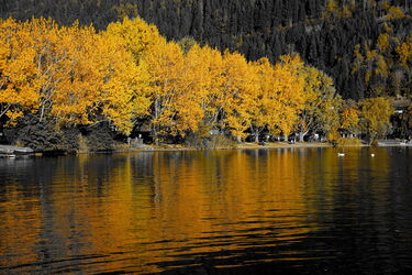 Goldener Oktober am Zeller See