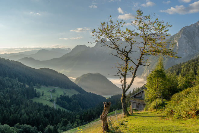 Von der Sonne in den Nebel