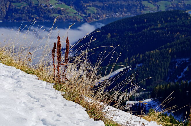 .... vom Wandel der Jahreszeiten