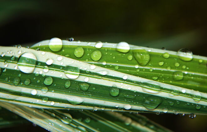 Das passende Foto zum aktuellen Wetter