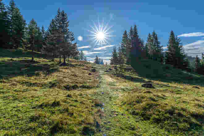 Der Sonne entgegen