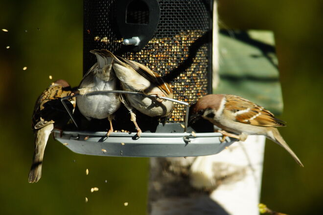 Drängelei und alles runter werfen .....