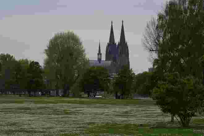 Rheinpark mit Blick auf den Kölner Dom