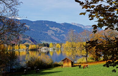 Schöner herbstlicher Blick zum Nordufer vom Zeller See