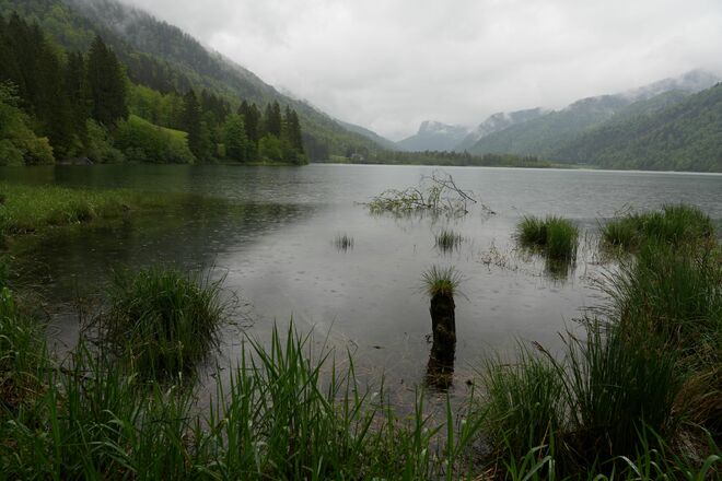 Ein Regentag am Hintersee