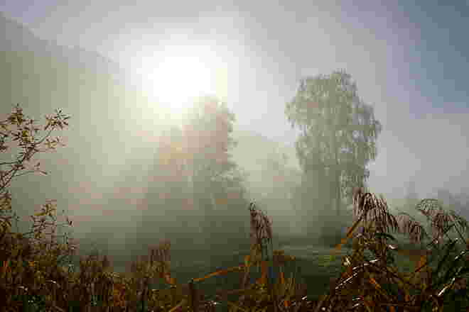 Die Morgennebel lichten sich