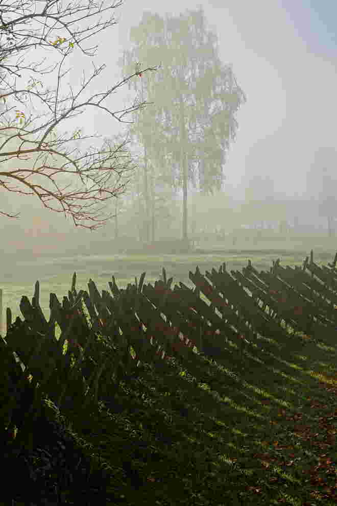 Nebel-Schattenspiel