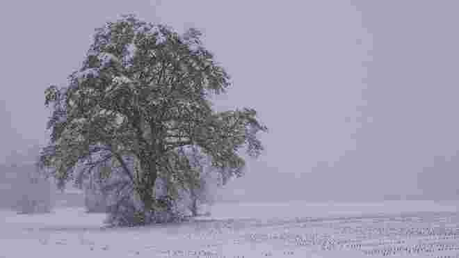 Schneetreiben in Anif