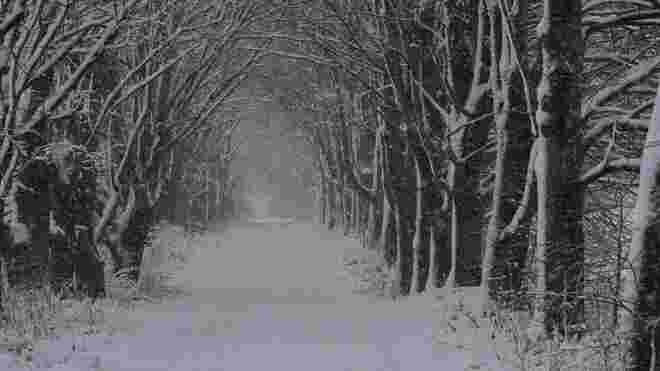Winterlicher Spaziergang in Anif