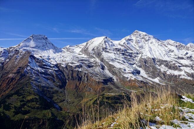 Zart angezuckert vom letzten Schnee