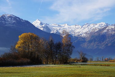 An einem spätherbstlichen Novembermorgen