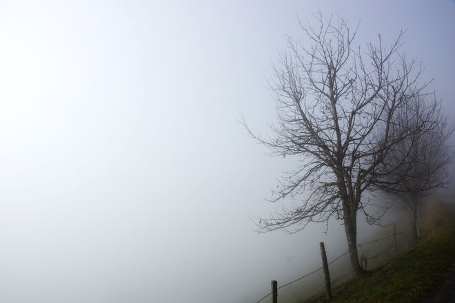 ... wenn die Sonne sich hinter den Wolken versteckt ....