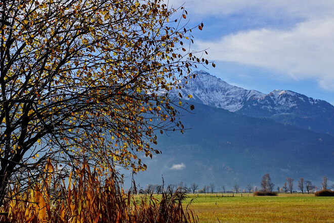 ... noch ein bisschen goldener Herbst