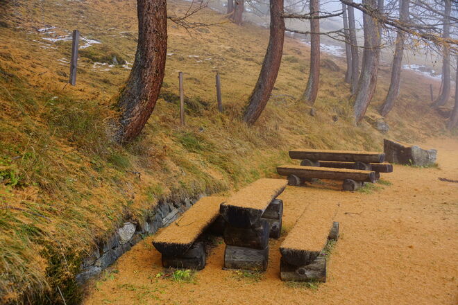 Die Lärchennadeln decken alles zu