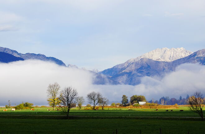 Schatten - Sonne - Nebel
