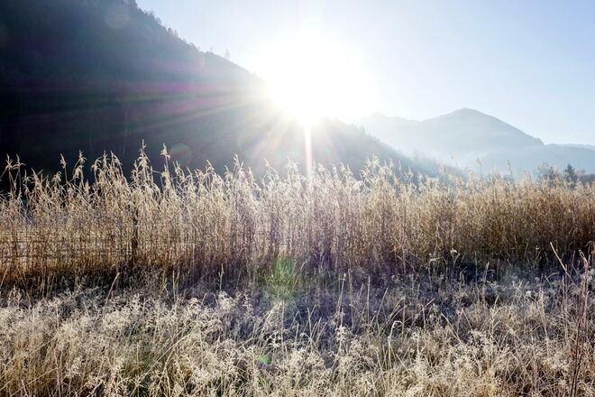Die Morgensonne kommt hervor und beleuchtet die weiße Zauberwiese