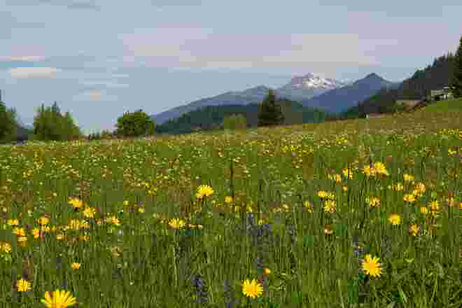 Naturpark Weissensee