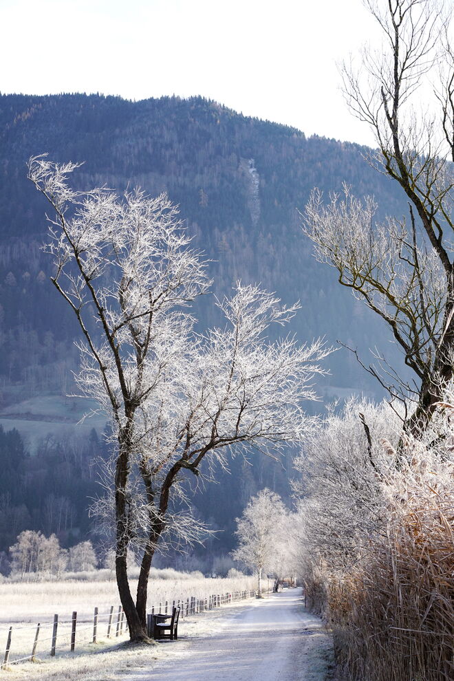 Kühler Morgenspaziergang