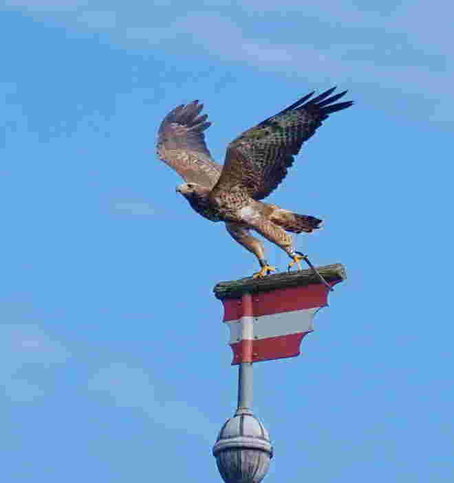 Abflug vom rot-weiß-roten Banner