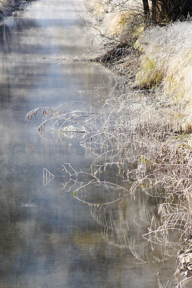 Kleine Kunstwerke in weiß im Uferbereich vom Seekanal