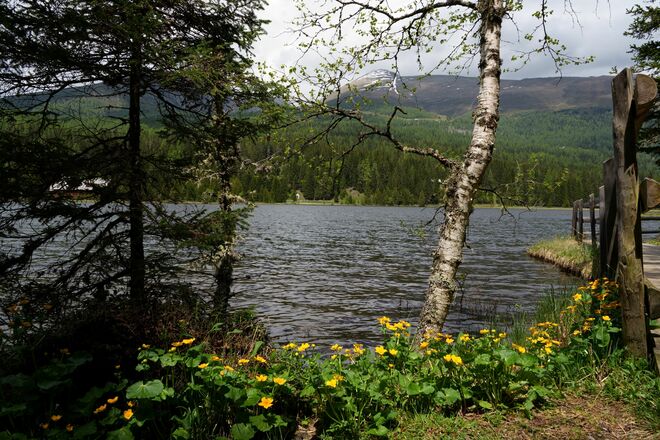 Blick auf den Prebersee und den Preber