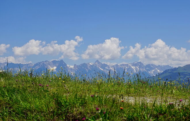 Schöner Blick zum Steinernen Meer