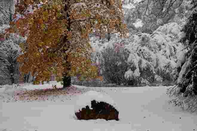 Winterkleid mit ein wenig Farbe..