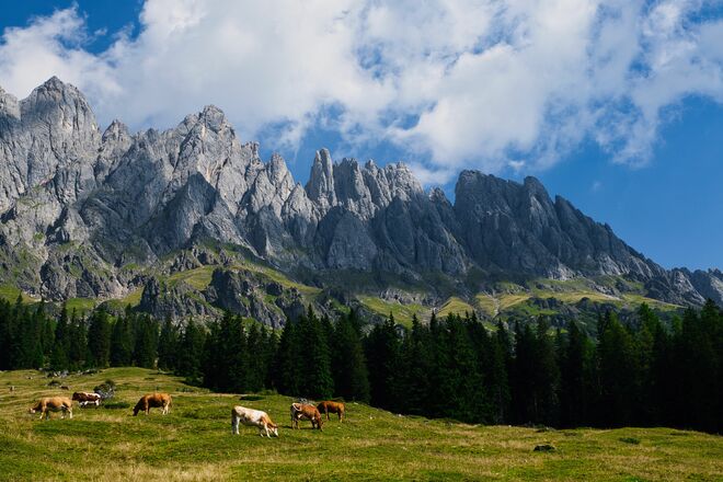 Almidylle am Fuße des Höchkönigmassiv