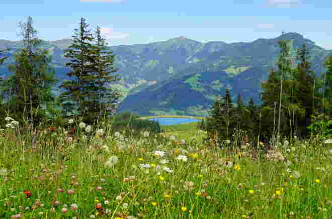 Blick talwärts zum Speichersee Plettsaukopf
