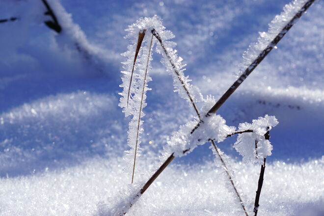 Die Wunderwelt der Raureifkristalle