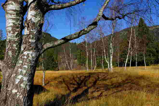 Blick ins Wasenmoos/Paß Thurn mit Schattenspiel