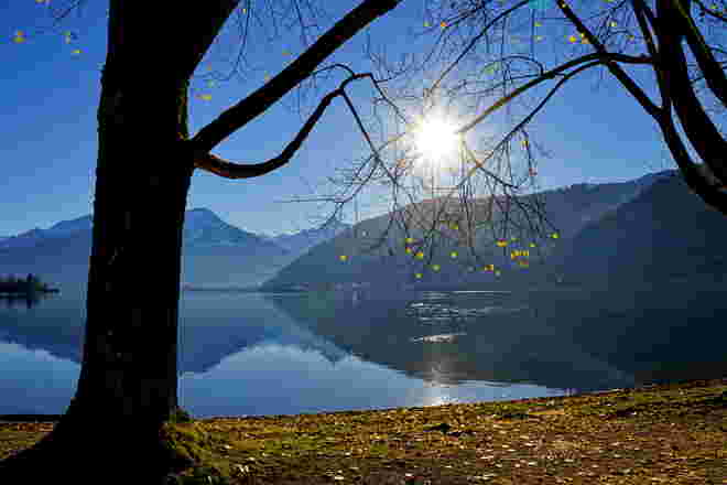 Letzte Blätter am Baum - noch vor ein paar Tagen