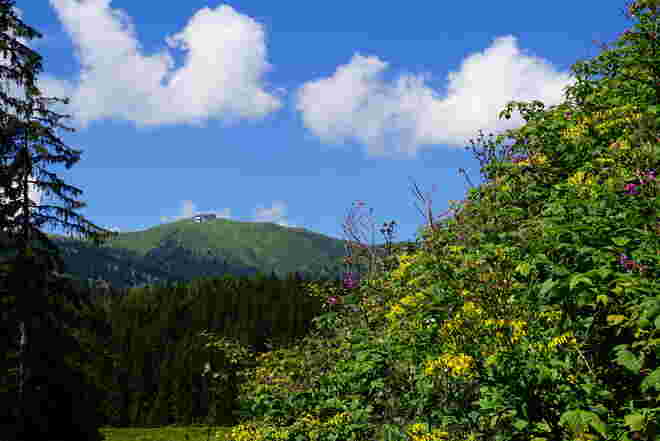 Blick zur Schmitttenhöhe