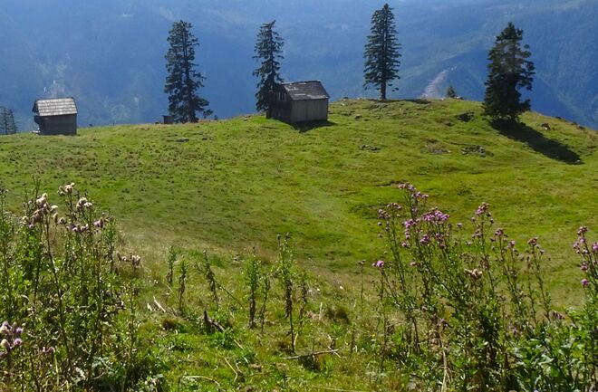 Auf der Seidenhofalm
