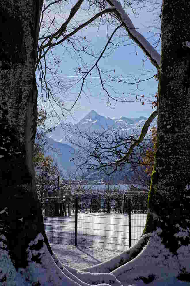 Ein schöner Durchblick aufs Kitz