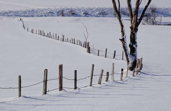 Besonderer Grenzverlauf