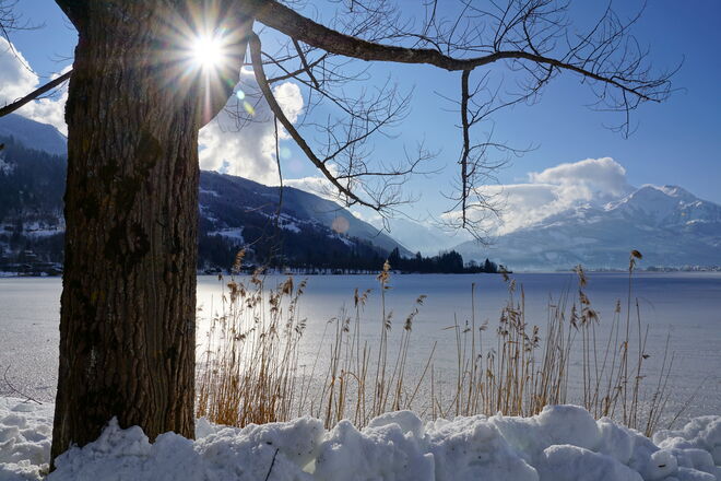 Morgens am Zeller See