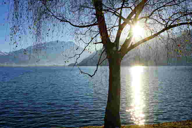 Natürlicher Sternenzauber am Zeller See