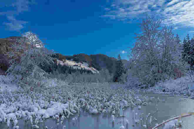 Winterlandschaft