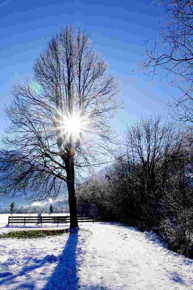 Einladung zum Winterspaziergang