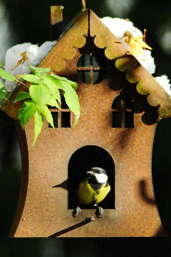 Mal schauen wie das Wetter draußen ist ......