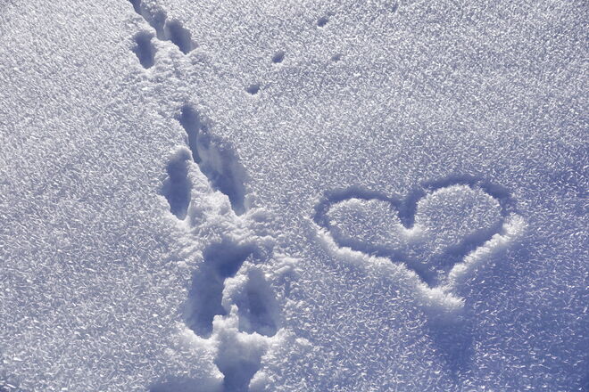 Herzige Spuren im Schnee